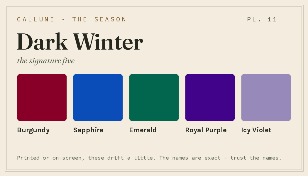Dark Winter wallet card preview