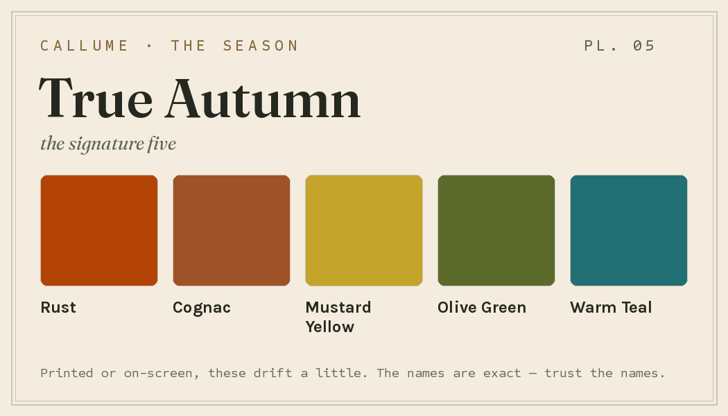 True Autumn wallet card preview